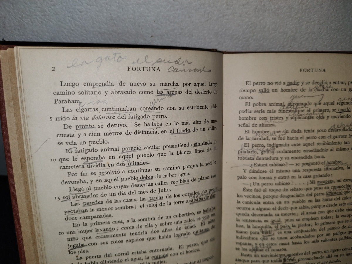 59- Fortuna And El Placer De No Hacer Nada - Enrique Pérez Escrich - Ginn And Company, 1907