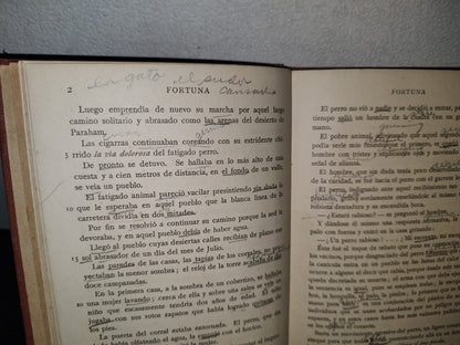 59- Fortuna And El Placer De No Hacer Nada - Enrique Pérez Escrich - Ginn And Company, 1907