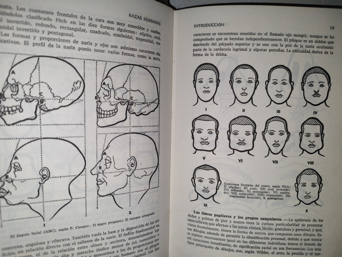118- Razas Humanas - Editorial Ramón Sopena. Biblioteca Hispánica - 1979