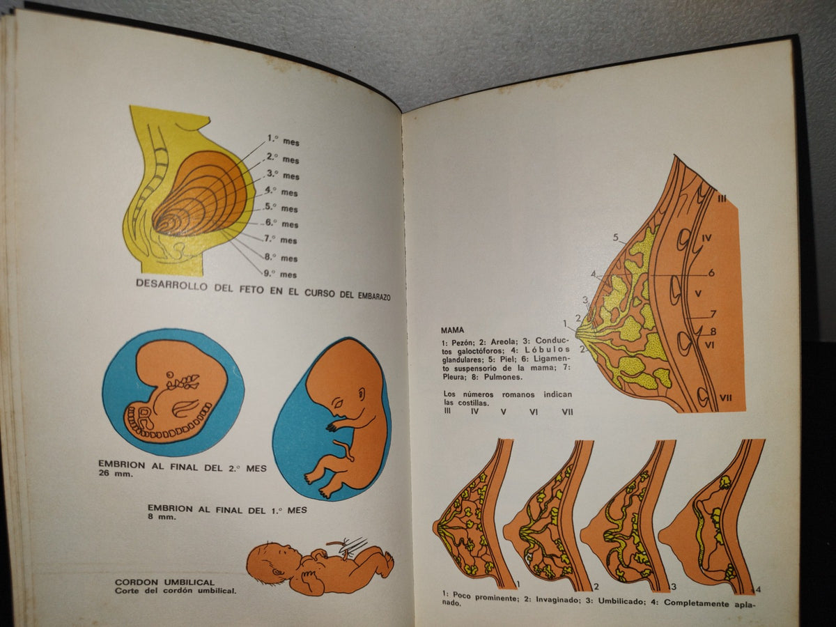75- Diccionario De La Vida Sexual. Ediciones Distein - 1976