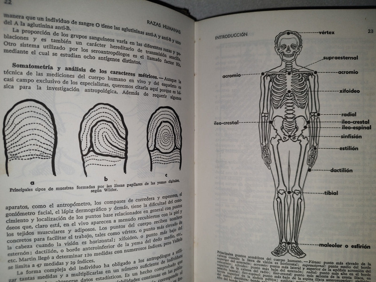 118- Razas Humanas - Editorial Ramón Sopena. Biblioteca Hispánica - 1979