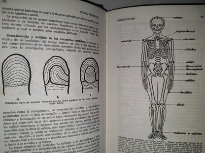 118- Razas Humanas - Editorial Ramón Sopena. Biblioteca Hispánica - 1979