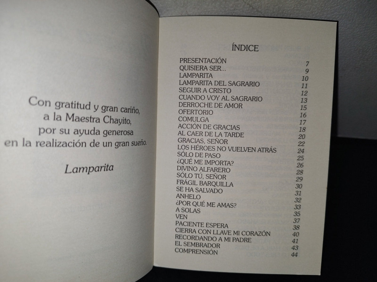 158- Quisiera Ser... Lamparita - Guadalajara, Jalisco, Primera Edición, 2005