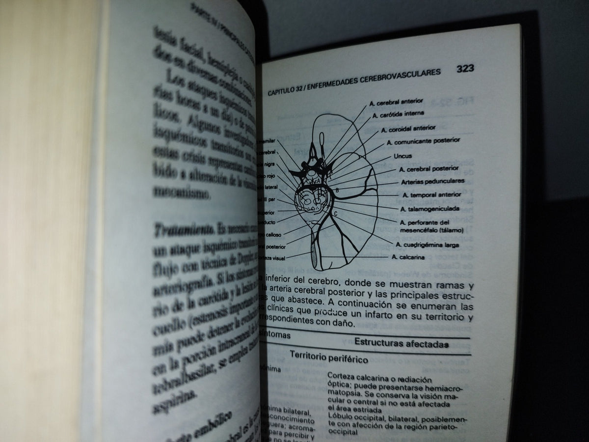 77- Manual De Principios De Neurología - R. D. Adams, M. Víctor - 1992