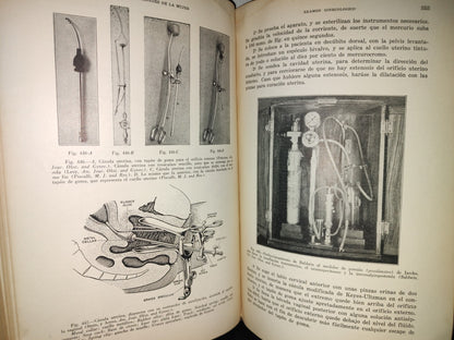 151- Enfermedades De La Mujer - Harry Sturgeon Crossen - Uteha 1939
