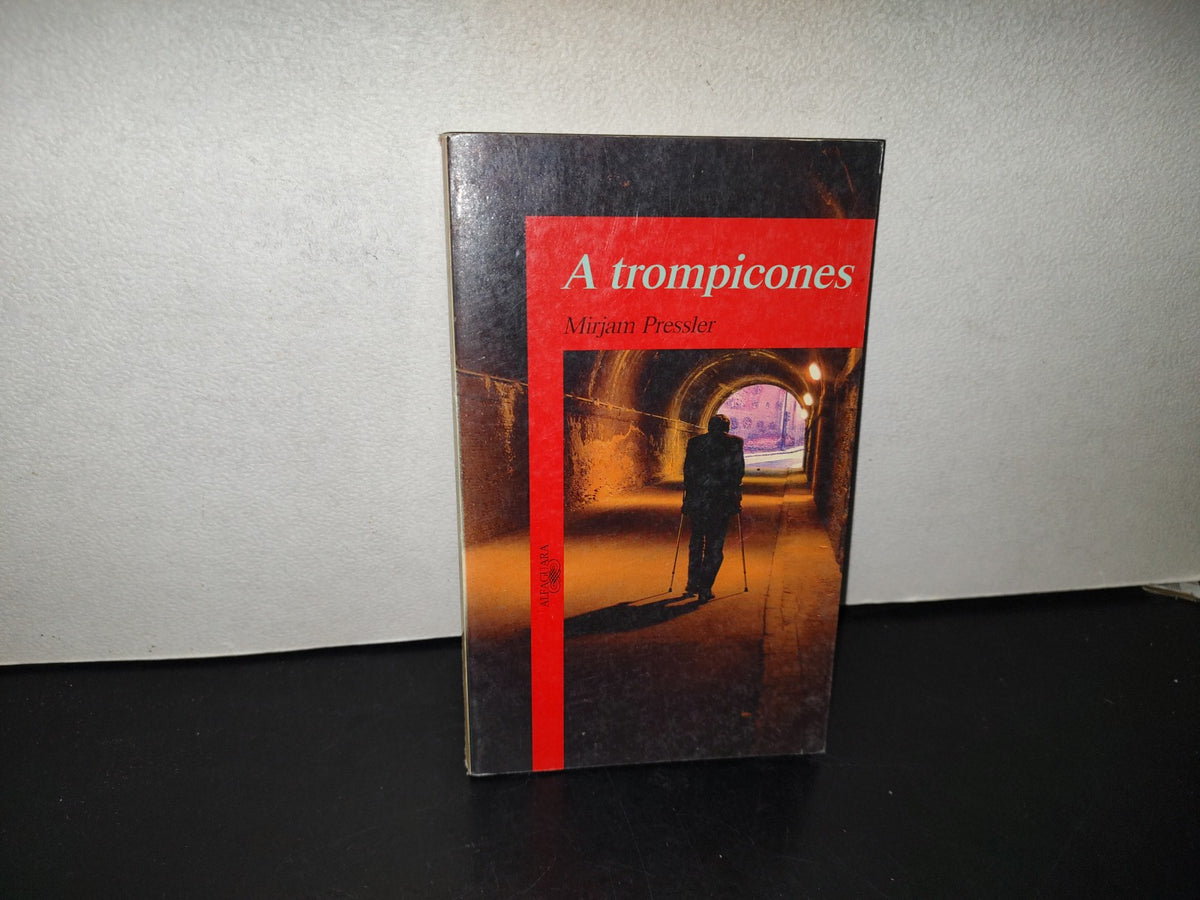 99- A Trompicones - Mirjam Pressler - Alfaguara, 1995