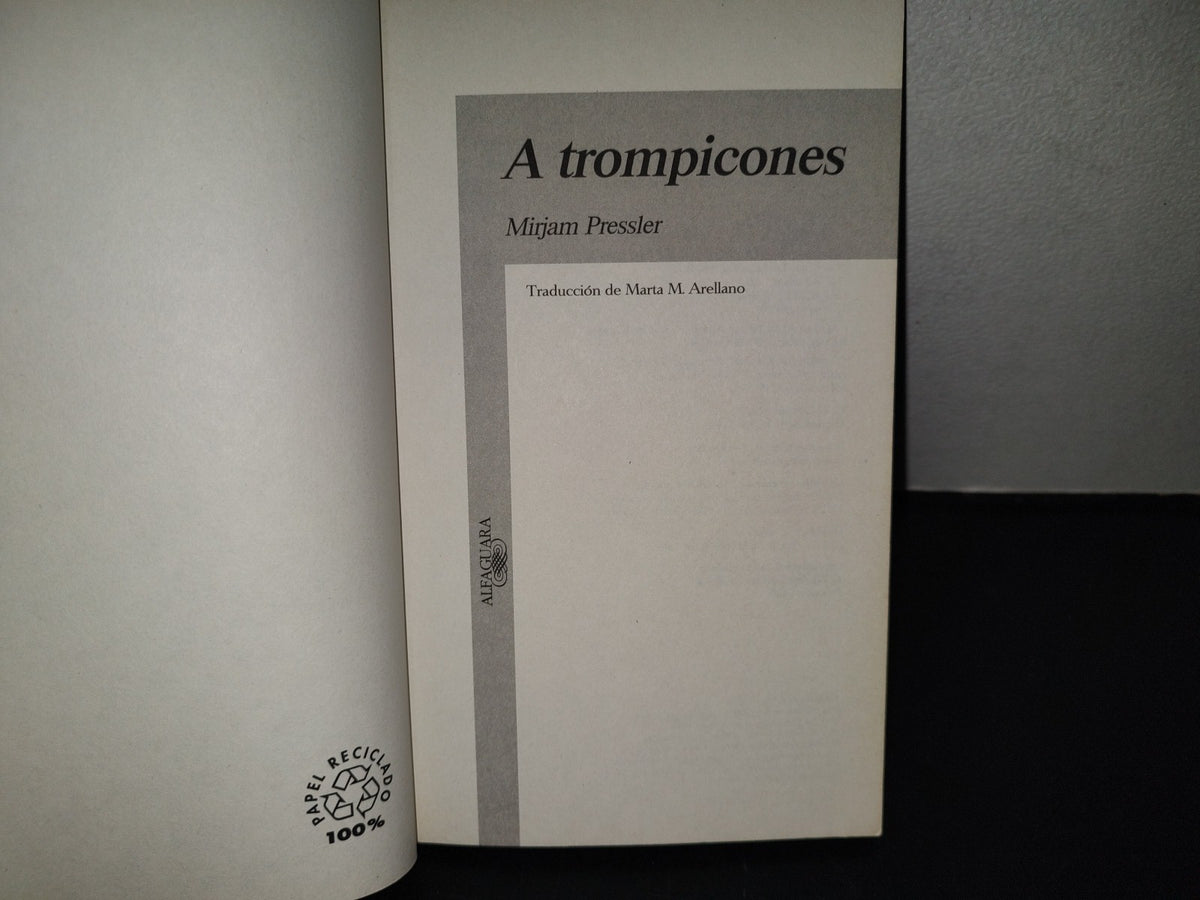 99- A Trompicones - Mirjam Pressler - Alfaguara, 1995