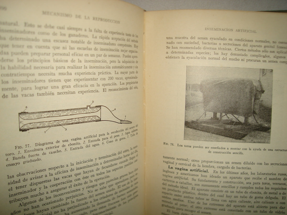 163- Cría Y Mejora Del Ganado - Victor Arthur Rice - 1956
