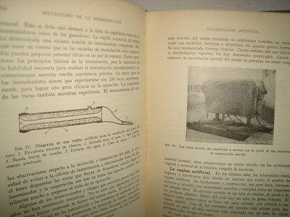 163- Cría Y Mejora Del Ganado - Victor Arthur Rice - 1956