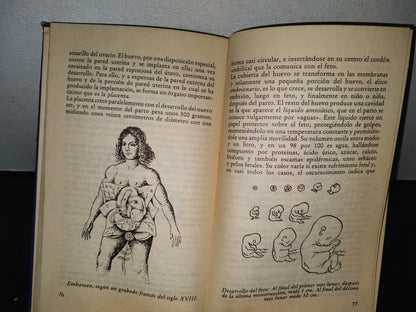 68- La Sexualidad En El Amor - Dr. W. Fikel Häring - 1980
