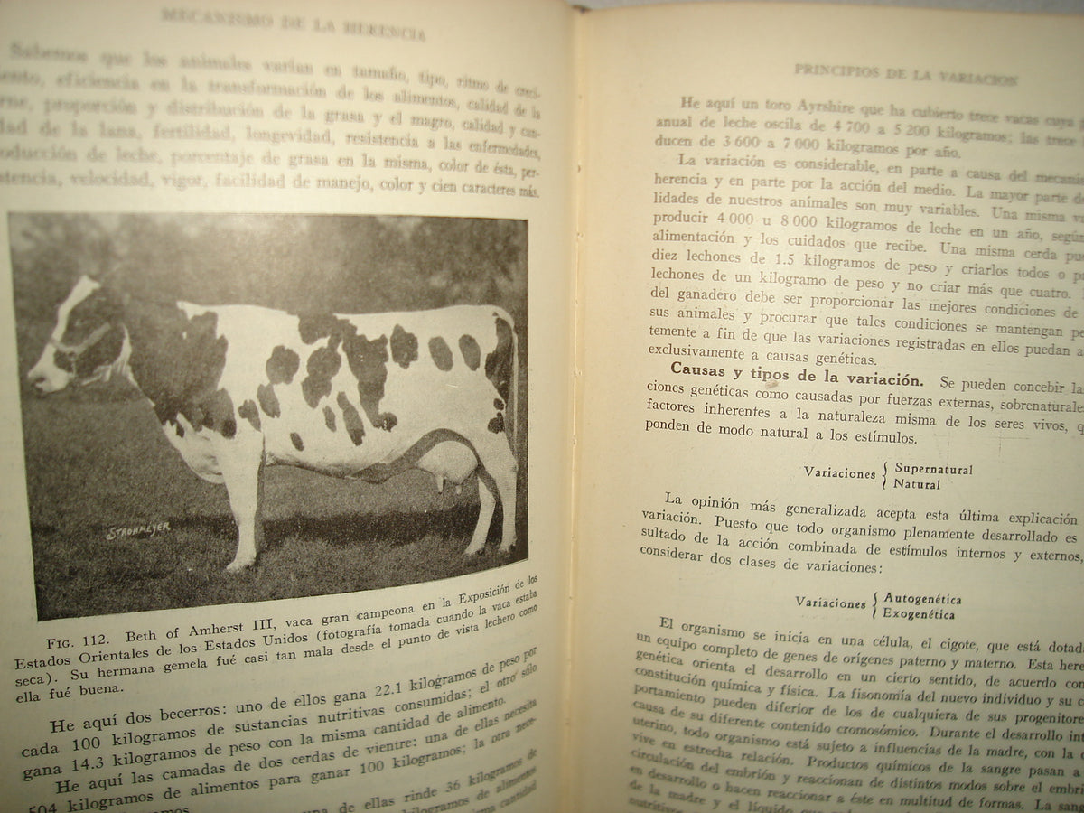 163- Cría Y Mejora Del Ganado - Victor Arthur Rice - 1956