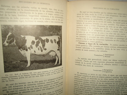 163- Cría Y Mejora Del Ganado - Victor Arthur Rice - 1956