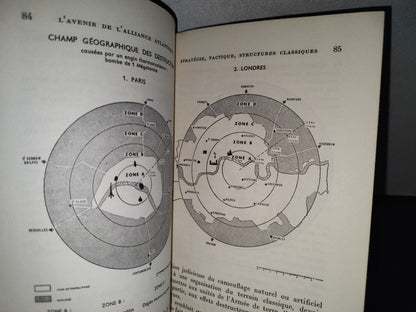 195- L'Avenir De L'Alliance Atlantique - Éditions Berger-Levrault - 1961