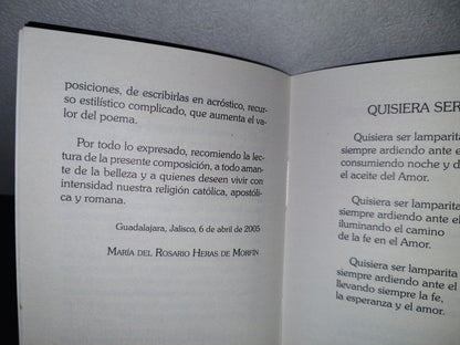 158- Quisiera Ser... Lamparita - Guadalajara, Jalisco, Primera Edición, 2005