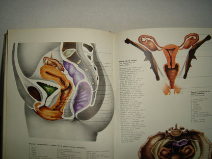 20- Enciclopedia De La Vida Sexual - Argos, Vergara