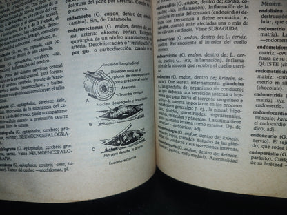 93- Diccionario De Enfermería - N. Roper - 1982