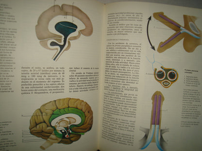 20- Enciclopedia De La Vida Sexual - Argos, Vergara