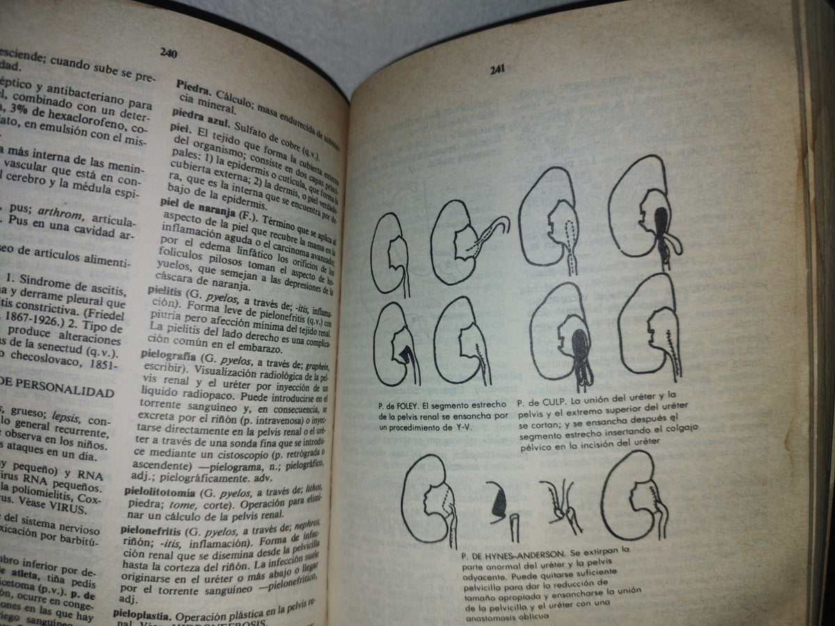 93- Diccionario De Enfermería - N. Roper - 1982