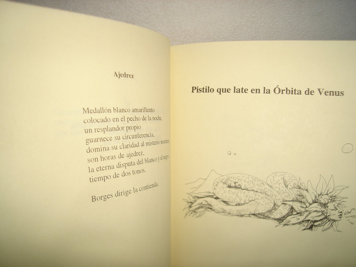 26- Patio De La Noche - Luz Balam. Colección Canto De Sátiro. Ediciones Arlequín