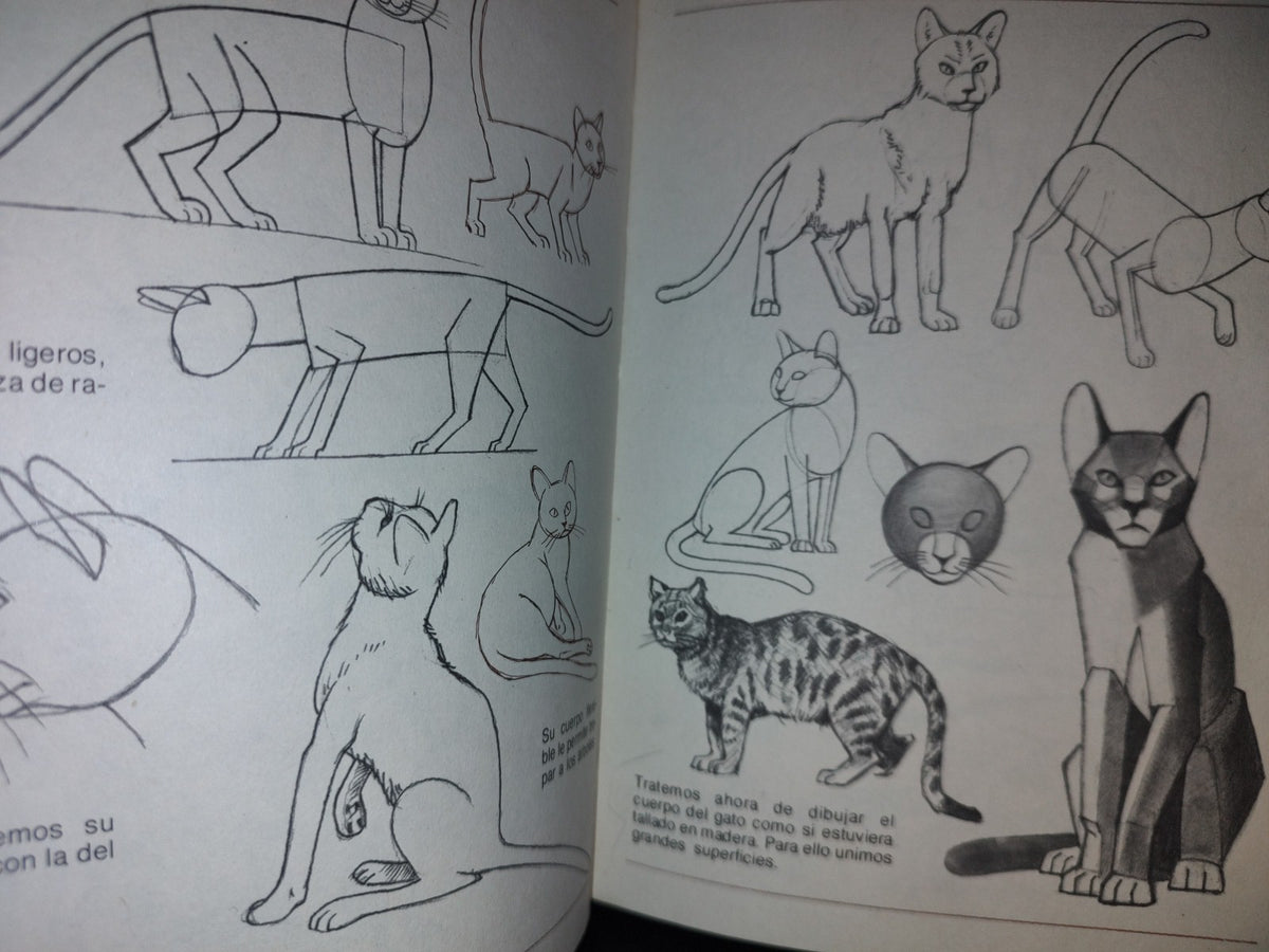 114- Aprende A Dibujar Animales/Figuras Humanas - Leix Lorenzo - Ediciones Altea - 1982
