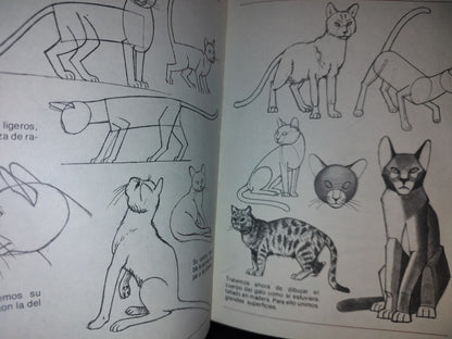 114- Aprende A Dibujar Animales/Figuras Humanas - Leix Lorenzo - Ediciones Altea - 1982