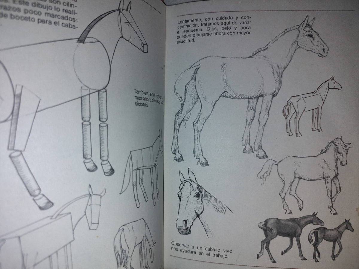 114- Aprende A Dibujar Animales/Figuras Humanas - Leix Lorenzo - Ediciones Altea - 1982