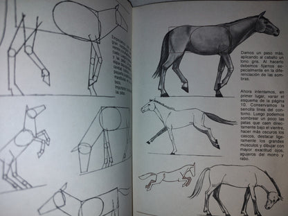 114- Aprende A Dibujar Animales/Figuras Humanas - Leix Lorenzo - Ediciones Altea - 1982