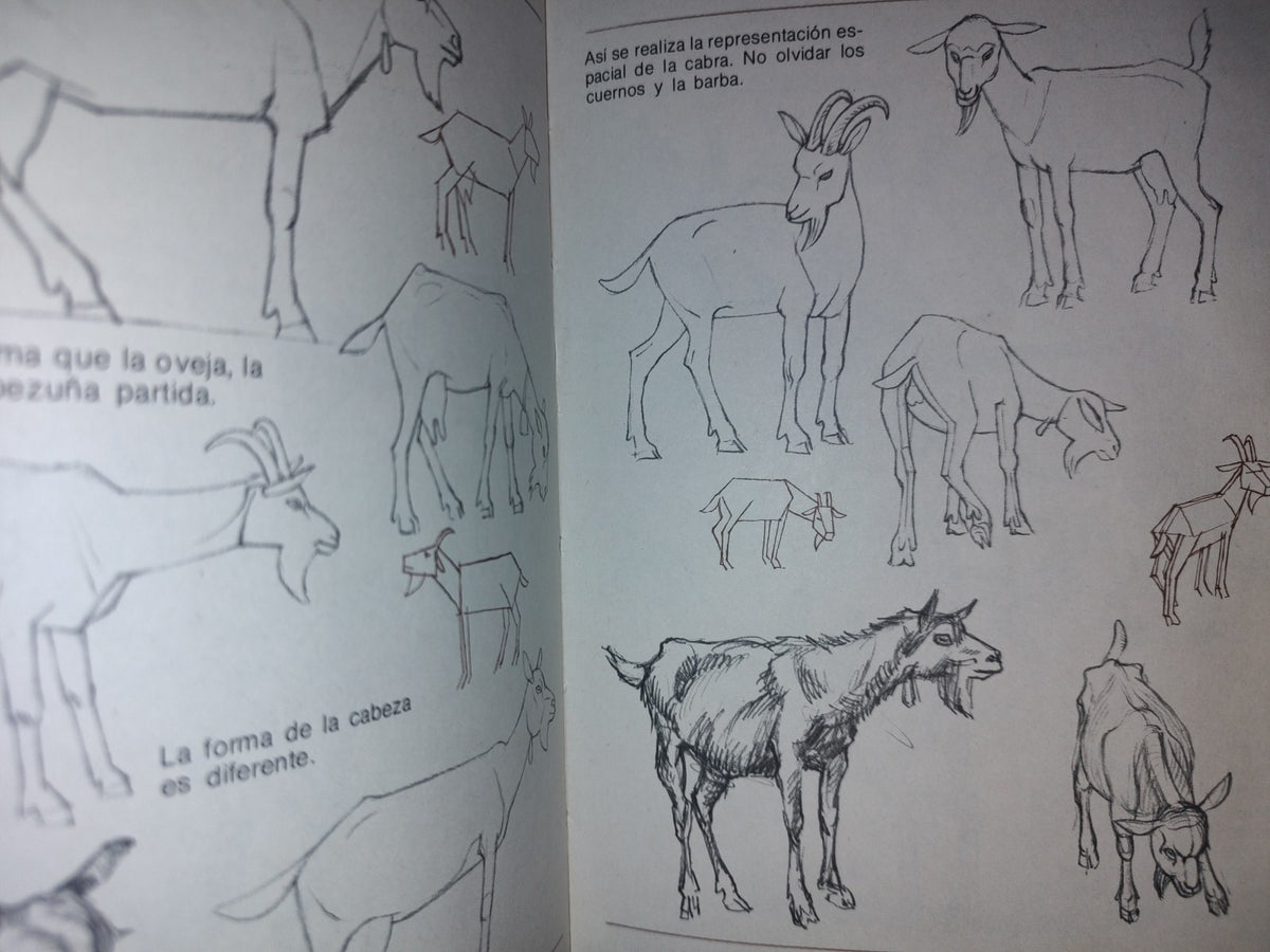 114- Aprende A Dibujar Animales/Figuras Humanas - Leix Lorenzo - Ediciones Altea - 1982