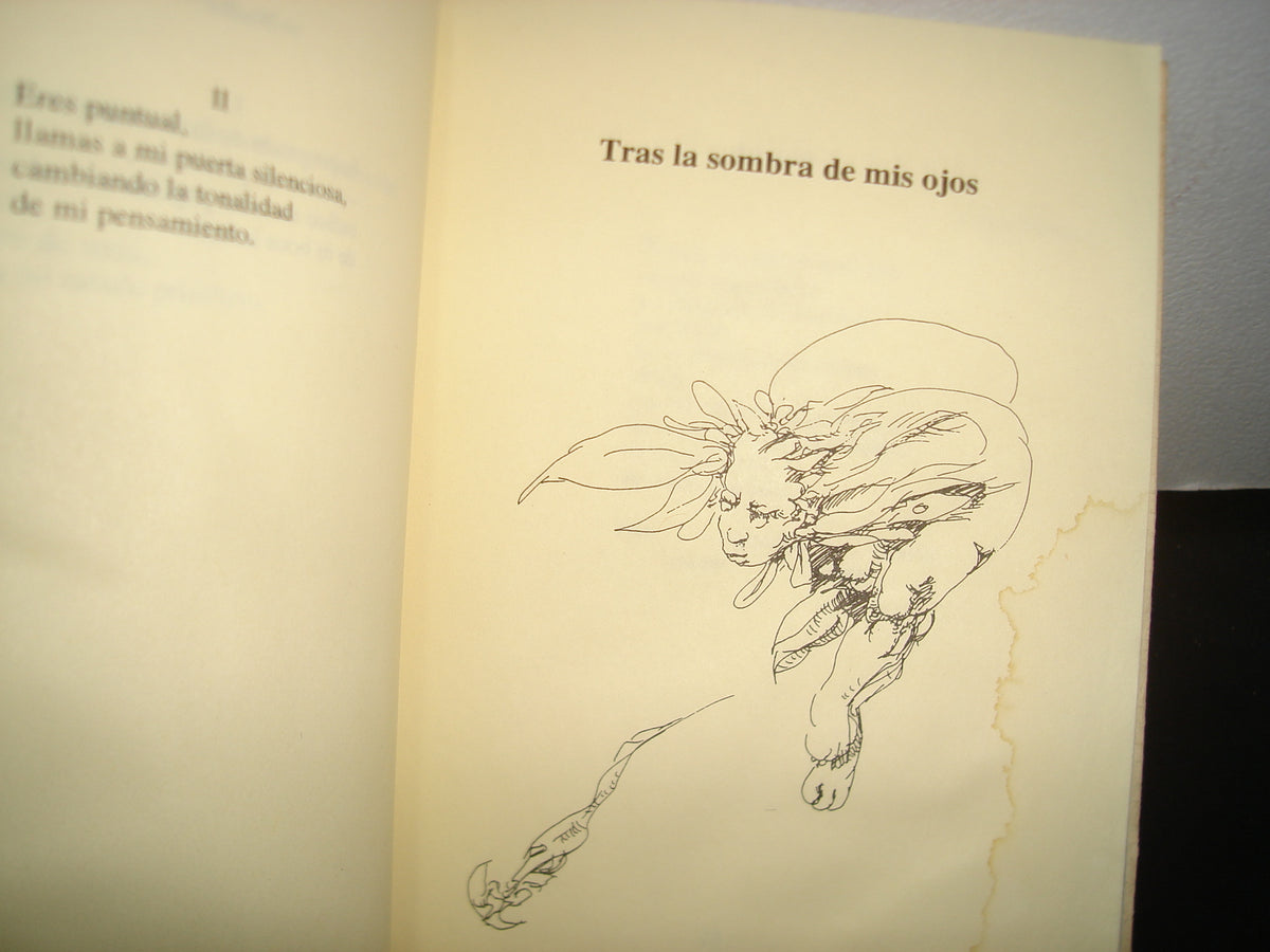 26- Patio De La Noche - Luz Balam. Colección Canto De Sátiro. Ediciones Arlequín