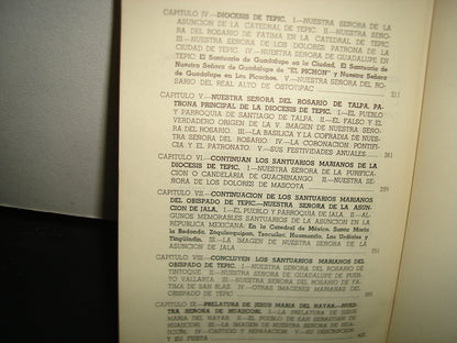 20- Iconografía Mariana De La Provincia Eclesiástica De Guadalajara. Tomo VI - 1981