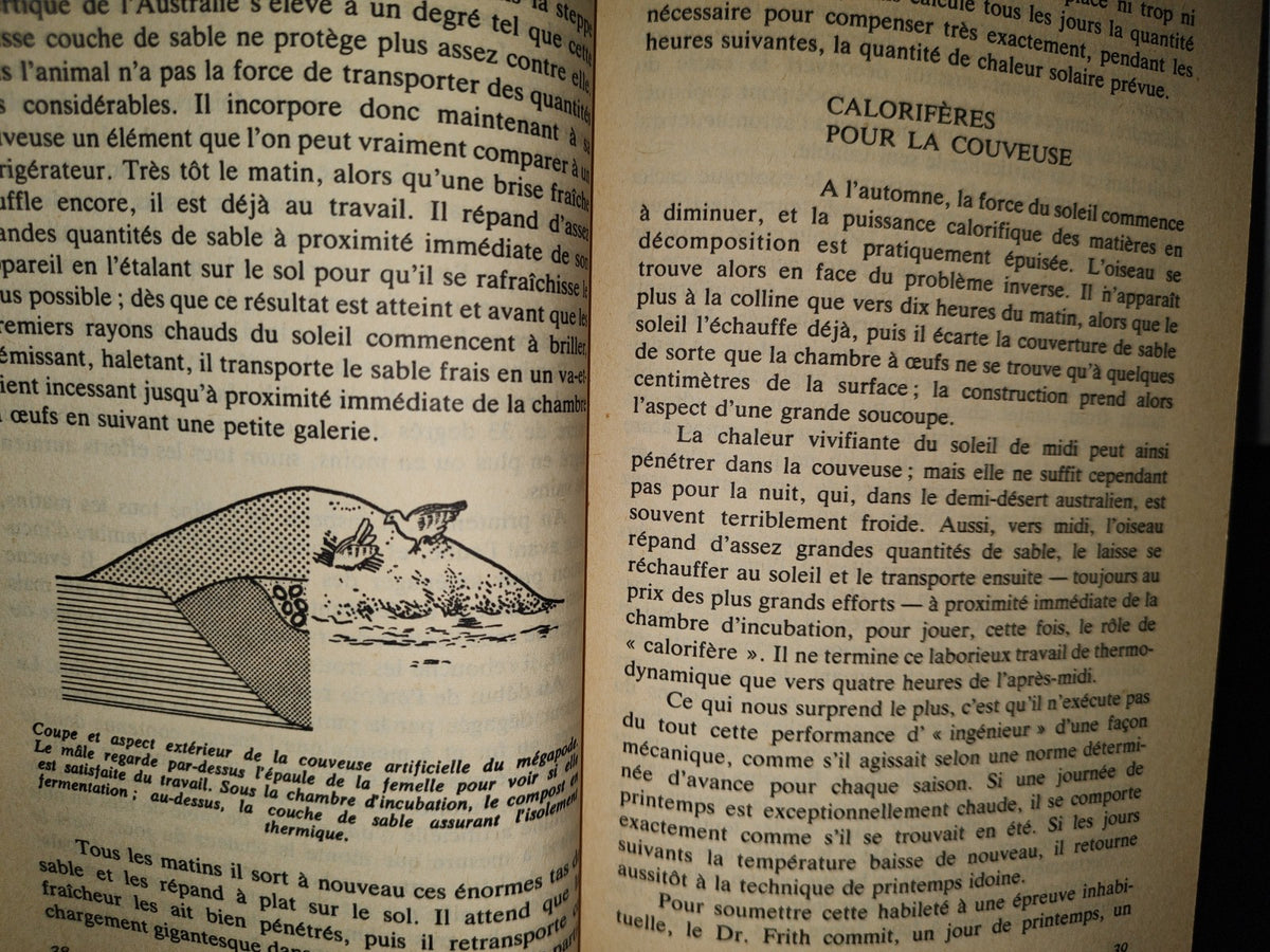 87-2- Les Sens Mystérieux Des Animaux - Vitus B. Dröscher - 1965