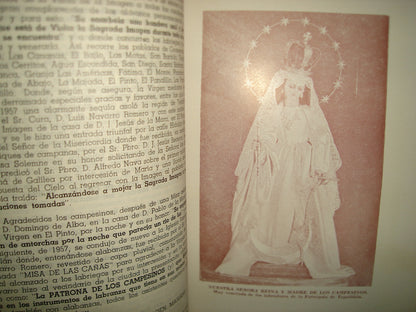 20- Iconografía Mariana De La Provincia Eclesiástica De Guadalajara. Tomo VI - 1981