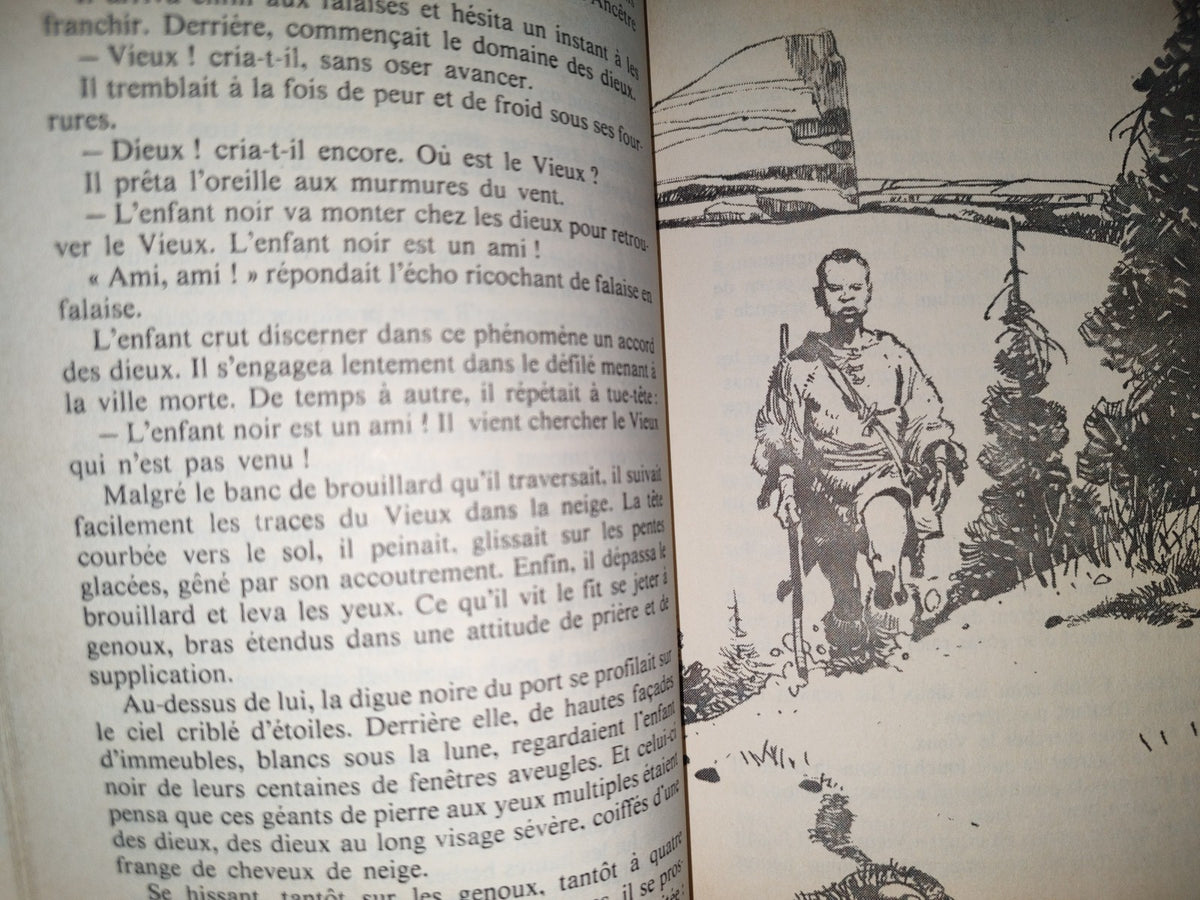 201- Niourk - Stefan Wul - Éditions Denoël- 1999