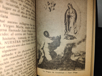 50- Las Apariciones Del Tepeyac. ¿Mito O Realidad? - Manuel Toledano Hernández. Colección Duda, 1974