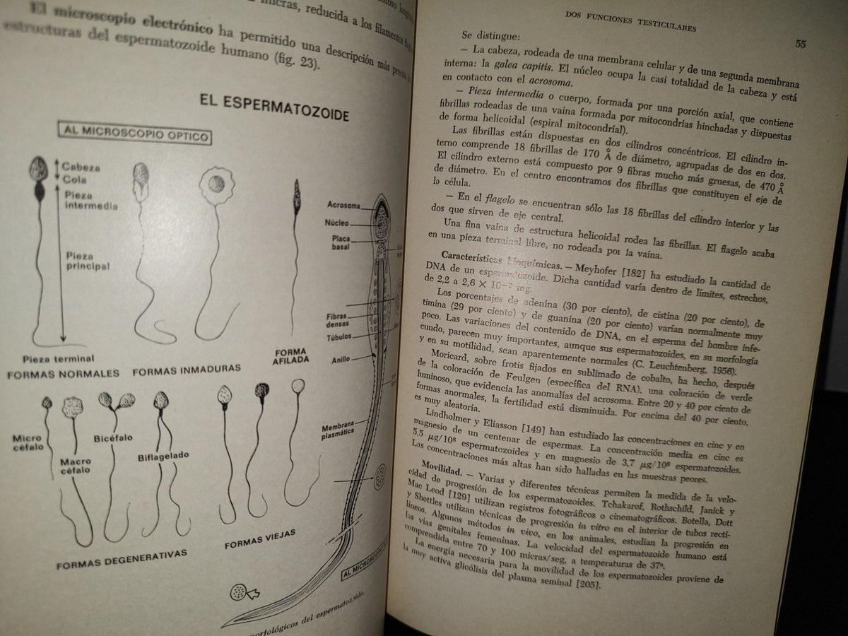 54- Las Esterilidades Masculinas En La Práctica Ginecológica - Jean Cohen - 1974