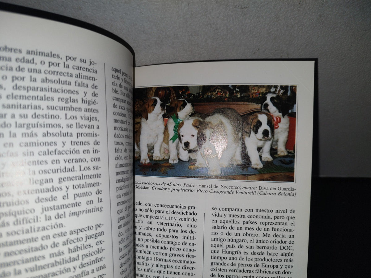 84- Perros De Raza. El San Bernardo - Giovanni Morsiani - Editorialde Vecchi
