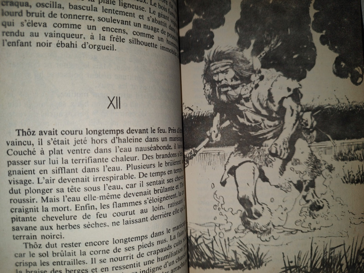 201- Niourk - Stefan Wul - Éditions Denoël- 1999