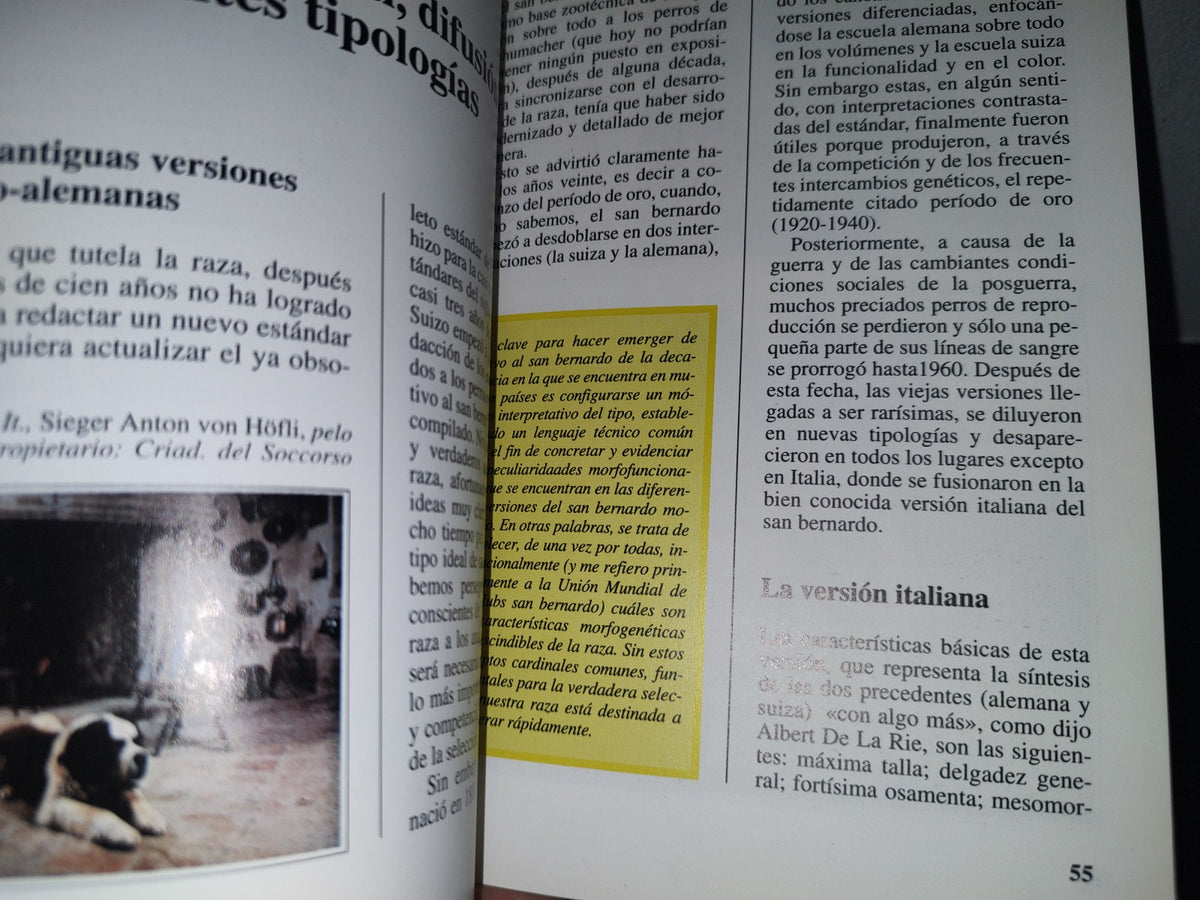 84- Perros De Raza. El San Bernardo - Giovanni Morsiani - Editorialde Vecchi