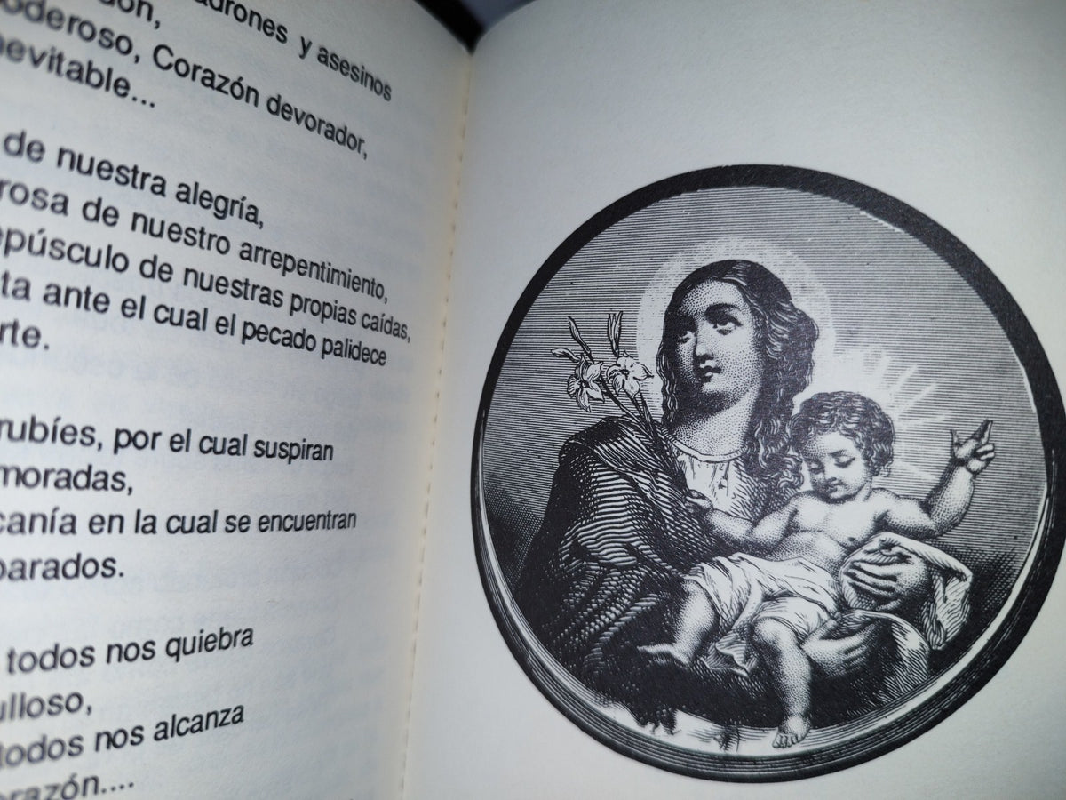 195- Me Llamarán Dichosa - Fernando Lugo Serrano - Instituto Bíblico Católico - 1989