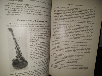 54- Las Esterilidades Masculinas En La Práctica Ginecológica - Jean Cohen - 1974