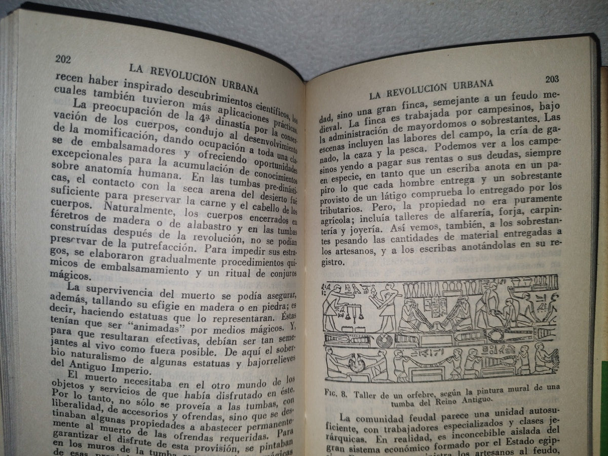 132- Los Orígenes De La Civilización - V. Gordon Childe