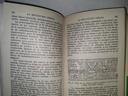 132- Los Orígenes De La Civilización - V. Gordon Childe