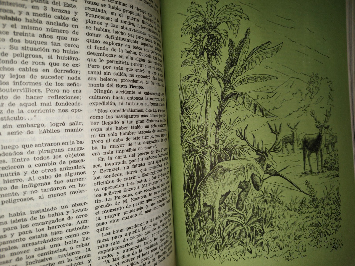 78- Obras Completas De Julio Verne. Tomo Ix - Editorial Albatros - 1958
