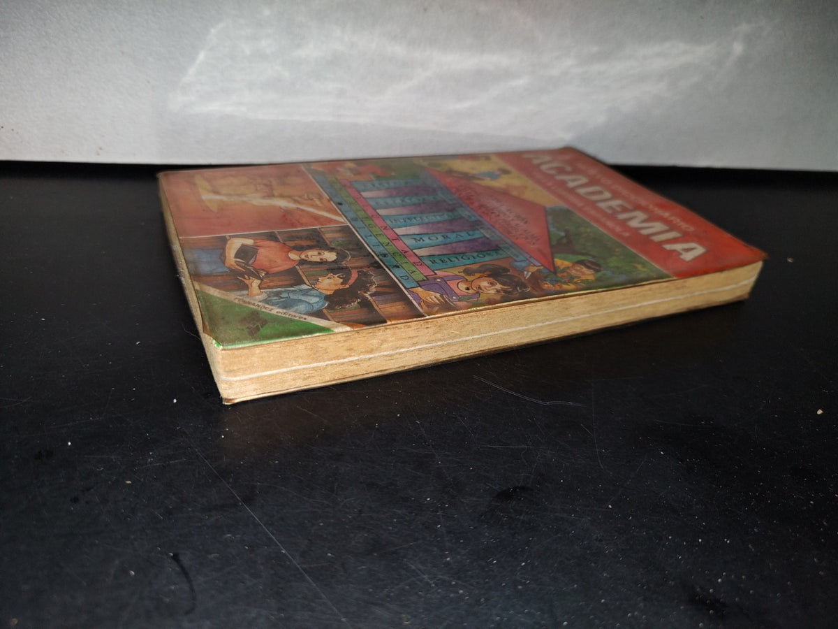 87-2- Diccionario Ilustrado De La Lengua Española. Academia - Fernández Editores - 1987