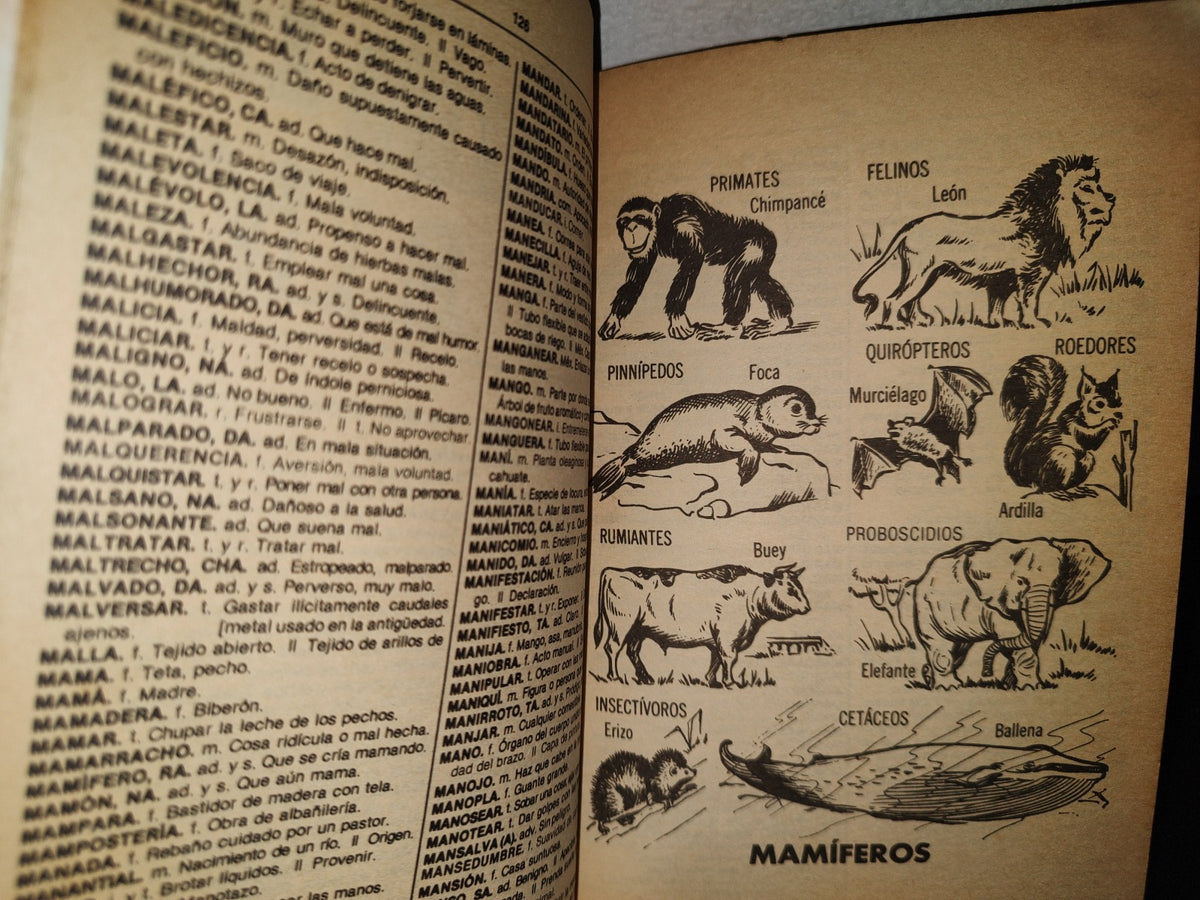 87-2- Diccionario Ilustrado De La Lengua Española. Academia - Fernández Editores - 1987