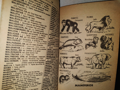 87-2- Diccionario Ilustrado De La Lengua Española. Academia - Fernández Editores - 1987