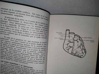58- Principios Médicos Fundamentales Para La Provechosa Presentación De Medicamentos Al Facultativo - 1962