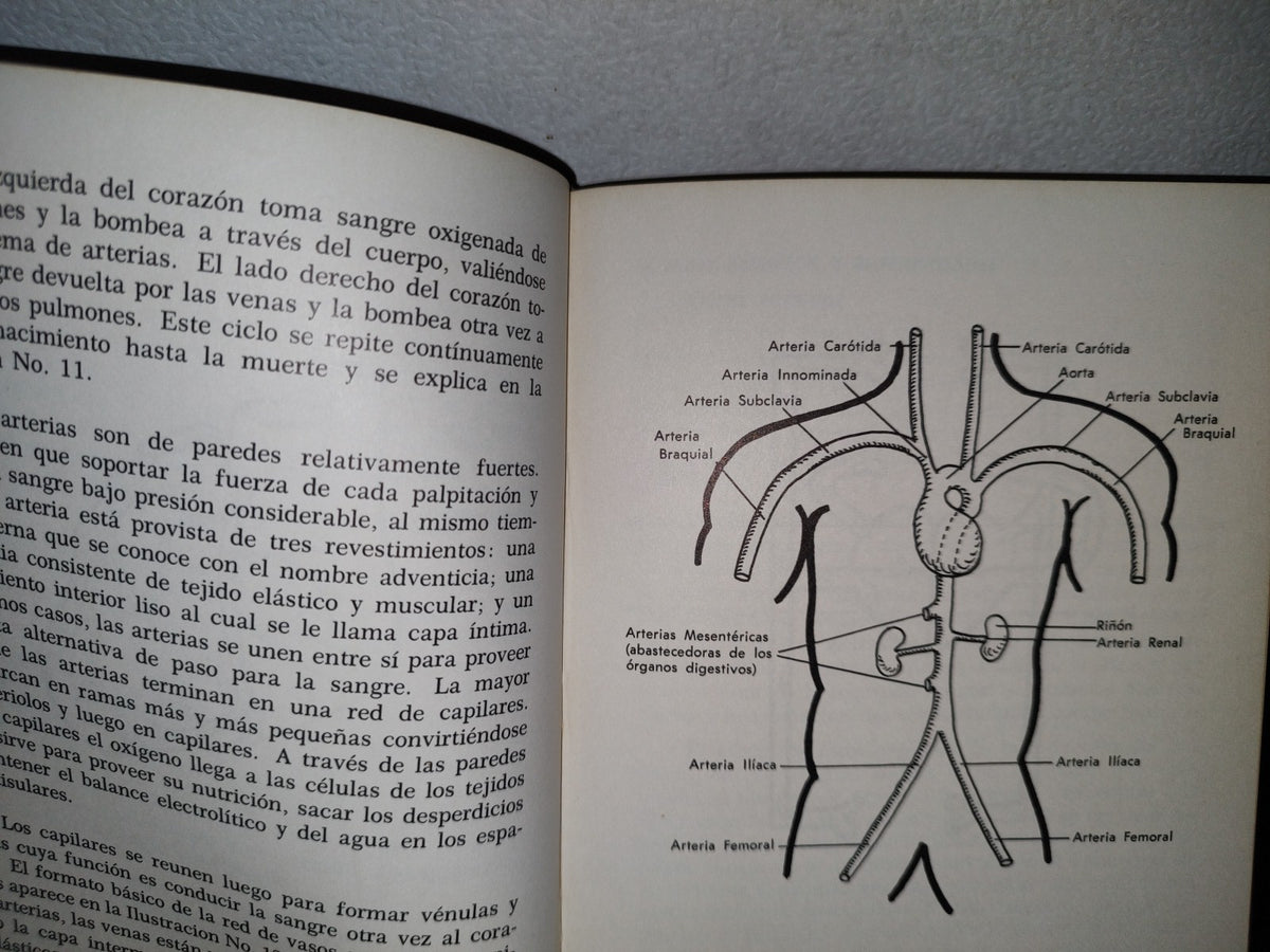 58- Principios Médicos Fundamentales Para La Provechosa Presentación De Medicamentos Al Facultativo - 1962