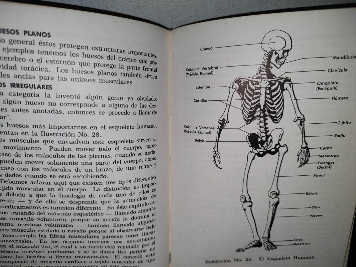 58- Principios Médicos Fundamentales Para La Provechosa Presentación De Medicamentos Al Facultativo - 1962