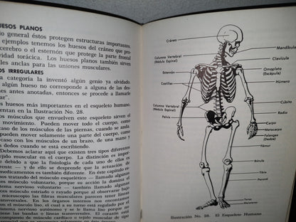 58- Principios Médicos Fundamentales Para La Provechosa Presentación De Medicamentos Al Facultativo - 1962